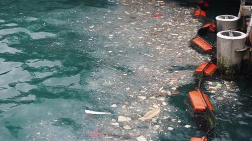 Pollution de l'eau par les déchets sur l'eau