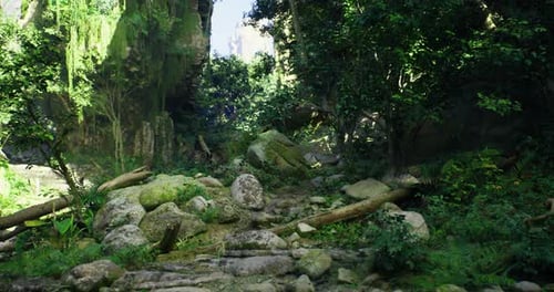 Lush Green Forest Landscape with Rocks and Sunlight Filtering Through Trees
