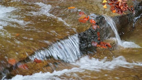 Crystal clear water flowing over rocks in a mountain creek with vibrant autumn leaves