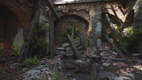 Overgrown Interior of Abandoned Structure with Debris and Sunlight