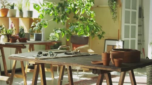 Interior of Indoor Garden with Houseplants and Worktable