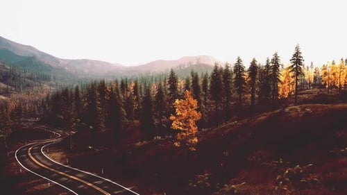 Estrada sinuosa de asfalto através de vibrantes montanhas de outono com folhagem dourada