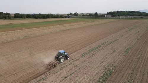 Agricultural Work with Tractor Preparing Field for Harvesting