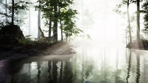 Pond in a Forest with Fog