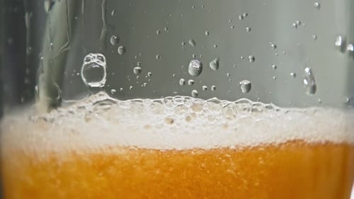 Beber cerveza o bebida alcohólica burbujeante en un vaso de vidrio en una fiesta cultural
