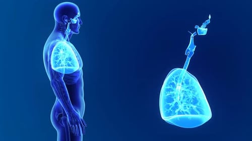 Human Body Lungs and Respiratory System 3D Animation