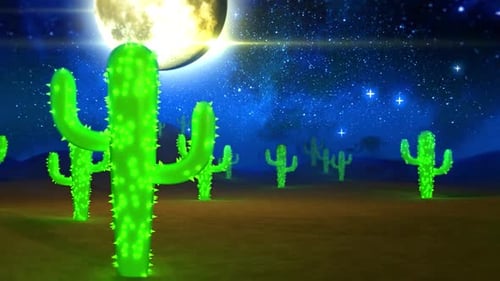 Cactus Desert