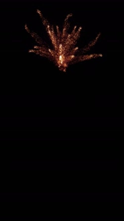 Aerial Sparks Explosion Vfx (13)