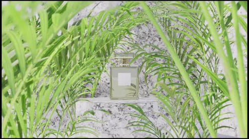 Perfume Bottle with Natural Green Foliage and Stone Background