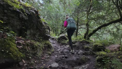 Backpacker Hikes a Rugged Mossy Trail in the Himalayas The Annapurna Circuit Bimthang Side Trek