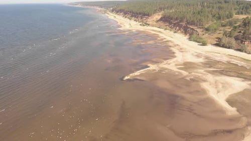 Summer Seashore