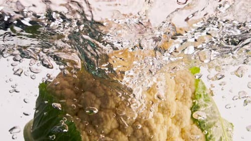 Fresh Cauliflower Falling Water Closeup. Organic Garden Vegetable Splashing Transparent Liquid In