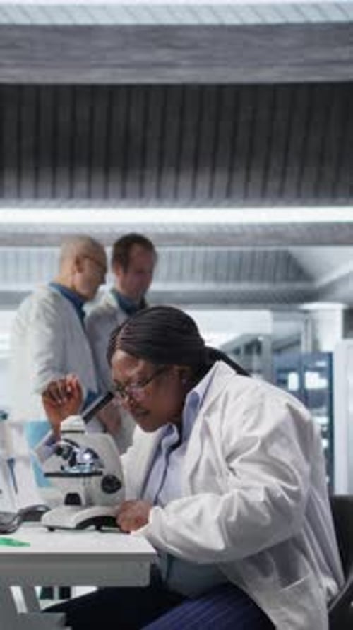 Vertical Video African American Scientist Focuses on a Microscope with Tray of Samples