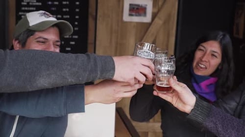 A Group Of Friends Toasting With Their Guanaco Glasses Of Handcraft Beer In The Pub - close up slowm