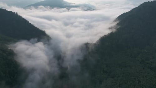 Zeitraffer von sich bewegendem Nebel über Bergen
