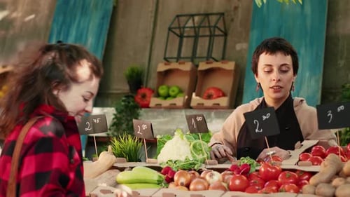 Smiling Consumer Buying Fresh Organic Eco Veggies at Farmers Market