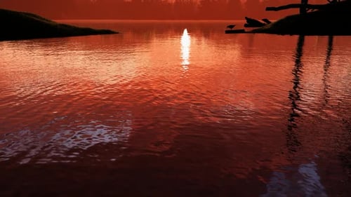 Abendszene mit Sonnenuntergang am Meer, Sonnenuntergang im Wald