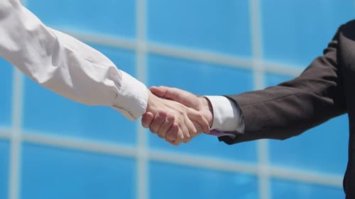Handshake, male and female hand greeting on the background of glass windows. Transaction concept