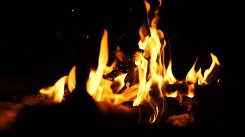 Campfire Flames at Night