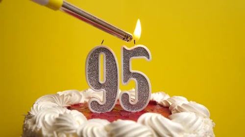 95. A candle in the form of the number 95, inserted into the holiday cake, is lit. Celebrating a bir