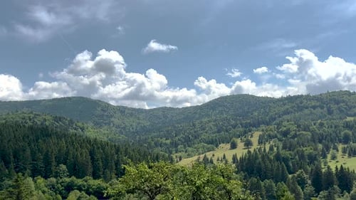 cinematic video from car of coniferous forest, mountain view, meadow and field,