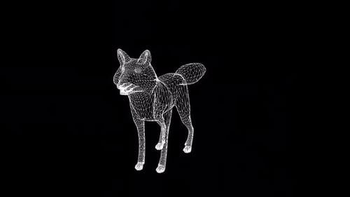 Fox Wireframe