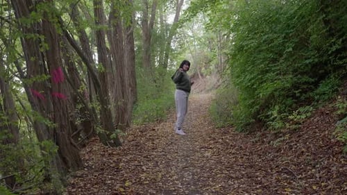 Peaceful Forest Journey Experience Serene Forest Adventure with Gentle Rustling and Filtered