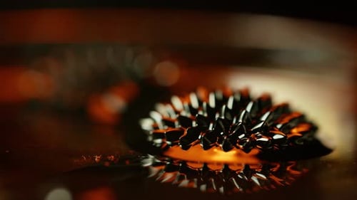 Ferrofluid Reacting To Magnetic Field