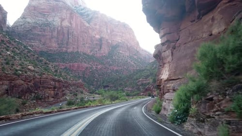 POV footage of driving the scenic road in the Zion National Park