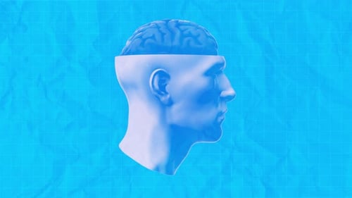 El plano de la cabeza y el cerebro humanos gira
