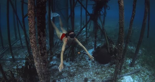 Woman Freediver Swims Under Pier Between Pillars in Blue Ocean Freediving in Tropical Sea