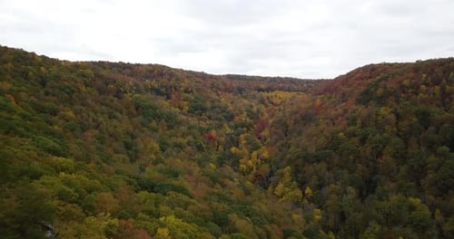 Aerial flyover a vibrant autumnal woodland in West Virginia