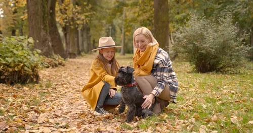 Grandmother and Child Granddaughter Walk with a Dog in the Autumn Park