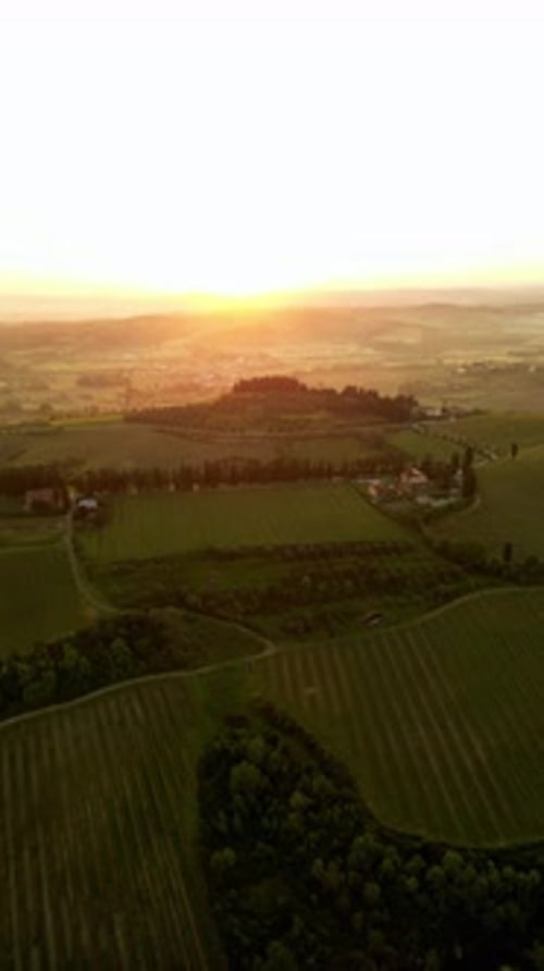 Aerial Video of Sunset Over Green Field with Vibrant Colors Tranquil Setting