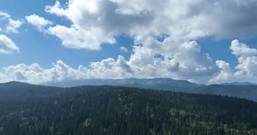 Aerial View of Evergreen Forest Hills Under Cloudy Sky