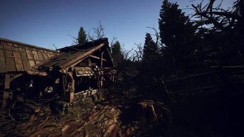 Cinematic Flight Around an Old Dilapidated Wooden Shack in a Dark Forest