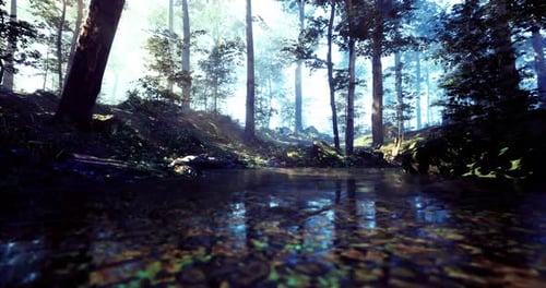 Serene Forest Landscape with Reflective Water Under Bright Sunlight