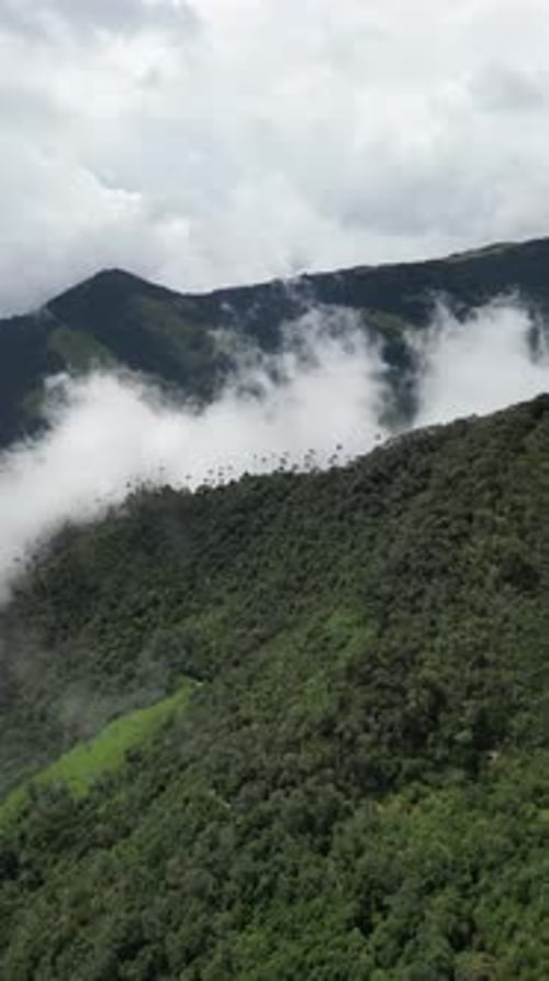 Aerial video over Salento towards a lush forested valley in the mountains of Colombia, Colombia
