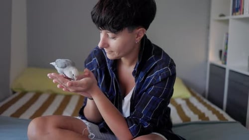 Young woman feeding her parrot bird at home - Pet owner having tender moment with domestic lovebird
