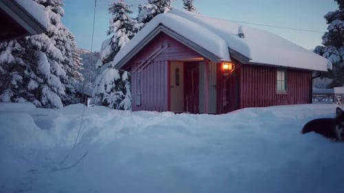 Man and Dog Play in a Winter Wonderland