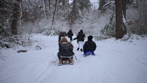 Children Sled Each Other in a Snowy Forest