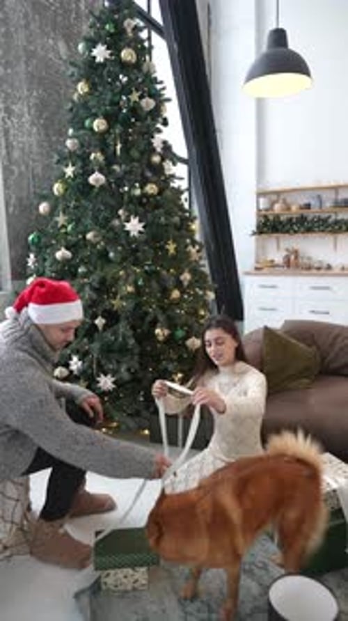 Cozy Couple Gift Wrapping with Dog at Christmas