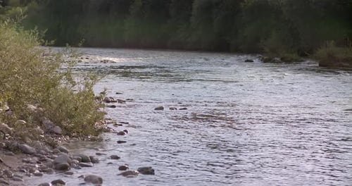 Picturesque river in the evening sun, stones and vegetation