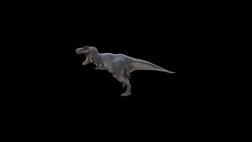 Tyrannosaurus Rex Run Loop