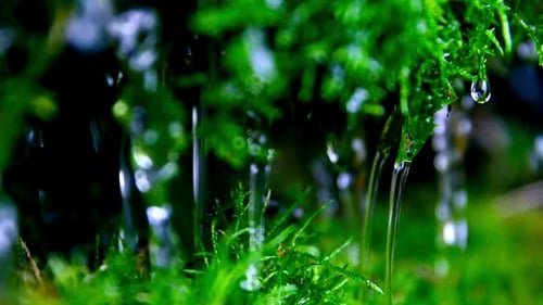 Water Drop Falling