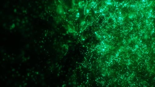 Blurred green abstract background of bokeh and round particles