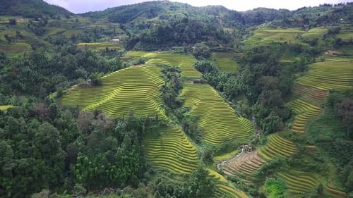 Drone flying over fields in Pa pong piang rice terraces