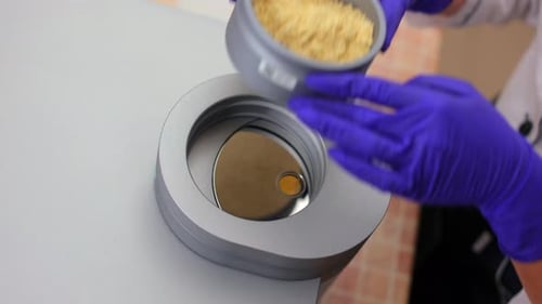 Worker Setting Container with Material in Laboratory Device