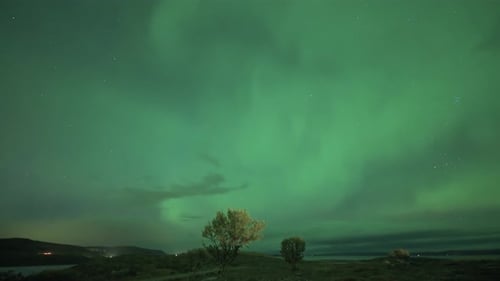 The beautiful dance of the Aurora Borealis illuminates the dark winter sky. Timelapse video.