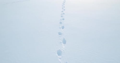 Footprints Across Vast, Empty Snowfield